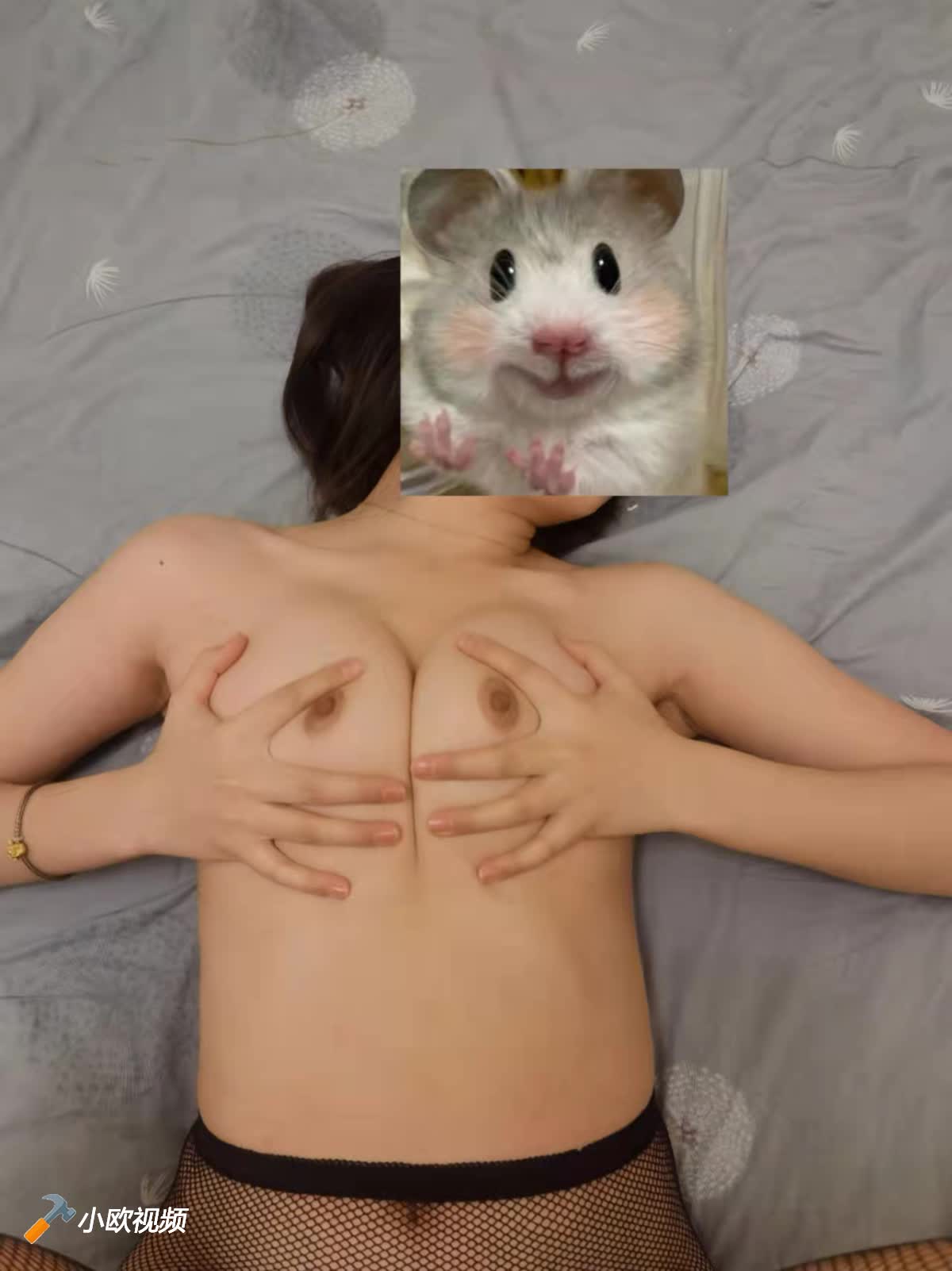 www.v2ba.org